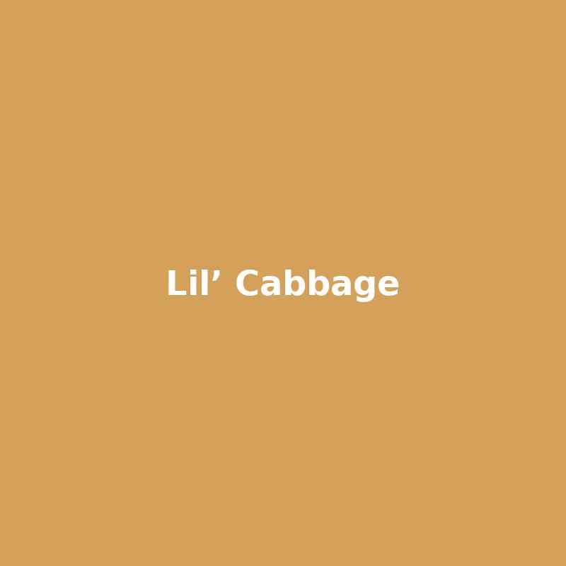 lil-cabbage cover